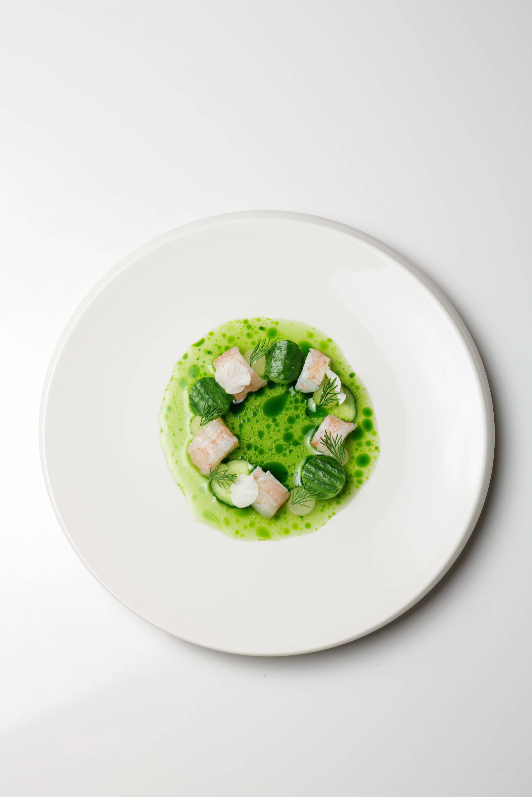 Kaisergranat | Gurke | Zitrone | Dill